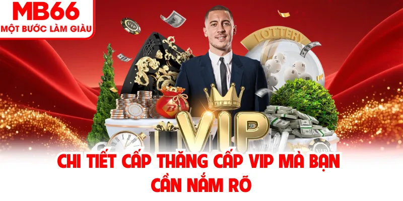Chi tiết cấp thăng cấp VIP mà bạn cần nắm rõ