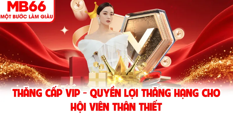 Thăng Cấp VIP - Quyền Lợi Thăng Hạng Cho Hội Viên Thân Thiết